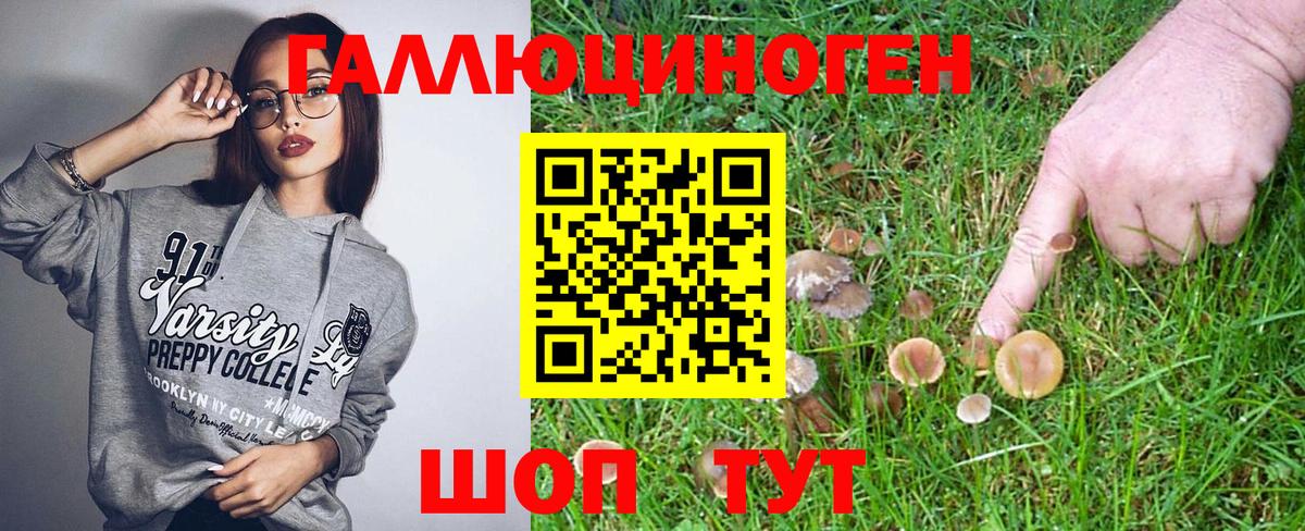 Псилоцибиновые грибы MAGIC MUSHROOMS Сертолово